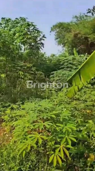 image DIJUAL TANAH VIP AREA BOGOR  JAWA  BARAT (3)