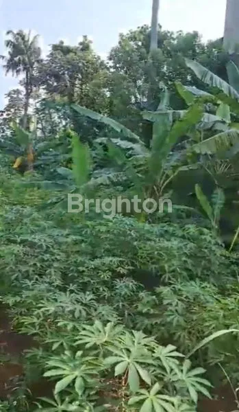 image DIJUAL TANAH VIP AREA BOGOR  JAWA  BARAT (5)