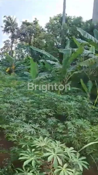 image DIJUAL TANAH VIP AREA BOGOR  JAWA  BARAT (2)