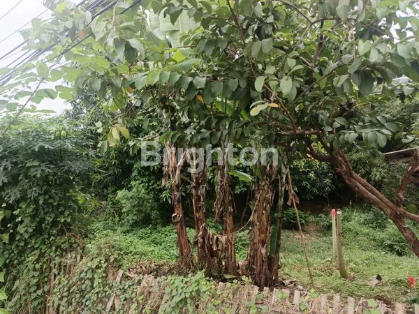 image OPSI 1 (FOKUS INVESTASI): TANAH STRATEGIS 4.600 M² PINGGIR JALAN SYEKH QURO - SHM & SIAP BANGUN (2)