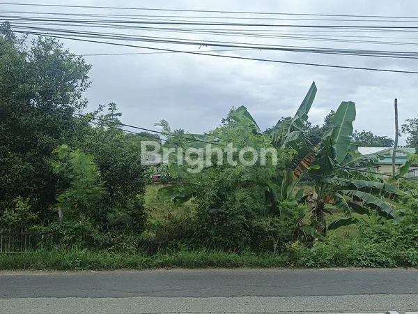 image OPSI 1 (FOKUS INVESTASI): TANAH STRATEGIS 4.600 M² PINGGIR JALAN SYEKH QURO - SHM & SIAP BANGUN (1)