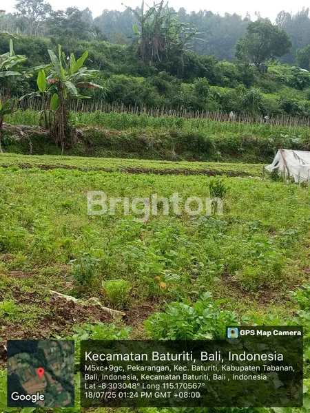 image DIJUAL TANAH 4HA (2)