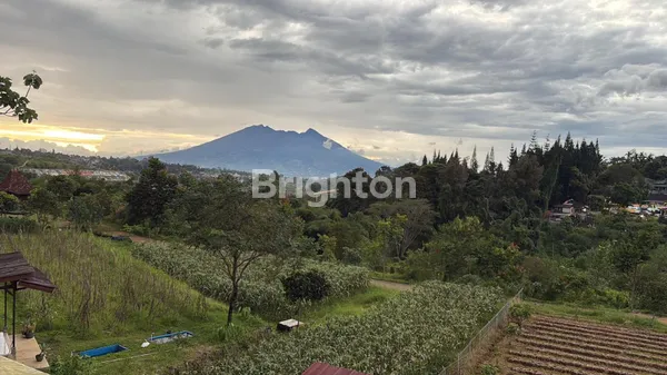 image RUMAH 1 LANTAI DI MEGAMENDUNG BOGOR, LT 723 M², 3 KT, LINGKUNGAN TENANG, HARGA 3,5 M (5)