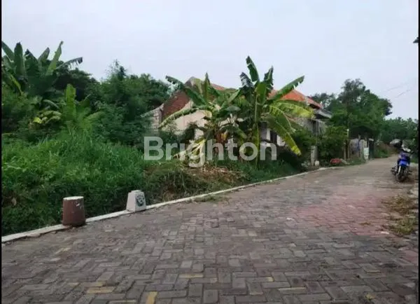 image TANAH MURAH SIAP BANGUN  DI WONOREJO RUNGKUT, DEKAT KAMPUS & TOL JUANDA WARU  (1)