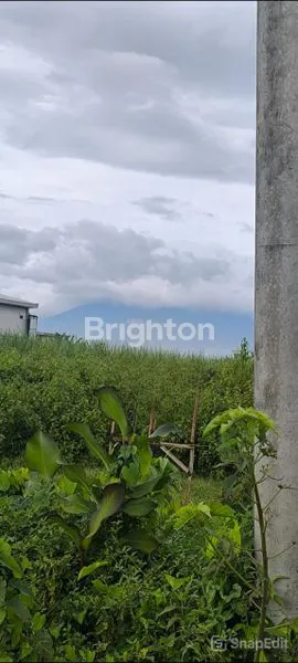 image DIJUAL TANAH MBAMBAN PAKIS (2)