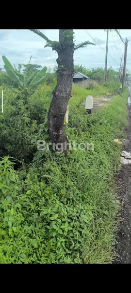 image DIJUAL TANAH MBAMBAN PAKIS (3)