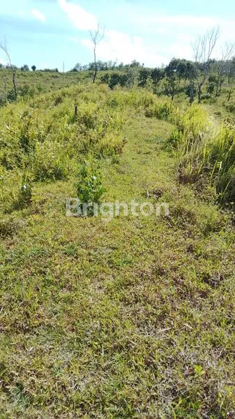 image TANAH CIBITUNG BANTEN (2)