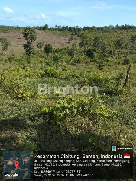 image TANAH CIBITUNG BANTEN (1)