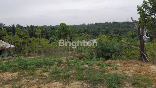 image \UD83C\UDFE1 DIJUAL TANAH KAVLING SIAP BANGUN – PELALAWAN \UD83C\UDFE1 (7)