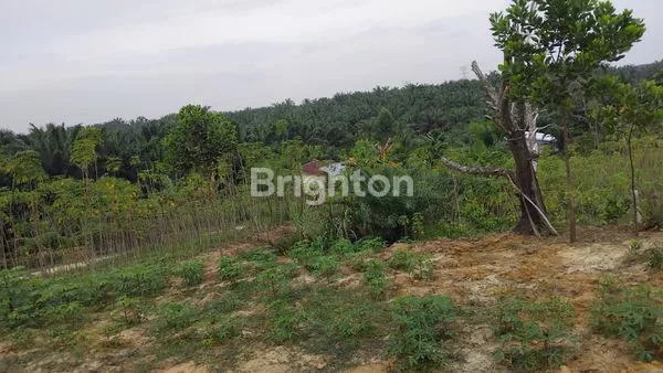 image \UD83C\UDFE1 DIJUAL TANAH KAVLING SIAP BANGUN – PELALAWAN \UD83C\UDFE1 (4)