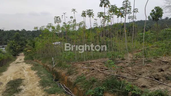 image \UD83C\UDFE1 DIJUAL TANAH KAVLING SIAP BANGUN – PELALAWAN \UD83C\UDFE1 (5)