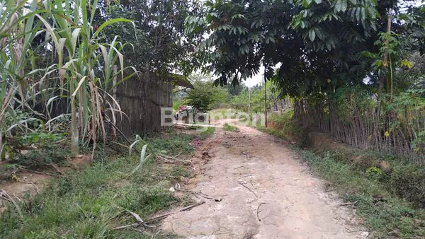 image \UD83C\UDFE1 DIJUAL TANAH KAVLING SIAP BANGUN – PELALAWAN \UD83C\UDFE1 (1)