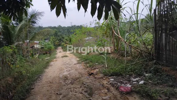 image \UD83C\UDFE1 DIJUAL TANAH KAVLING SIAP BANGUN – PELALAWAN \UD83C\UDFE1 (2)