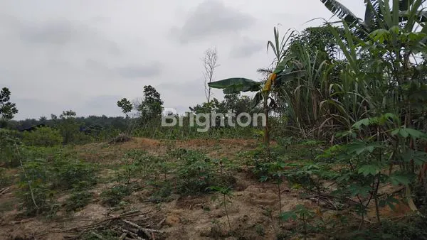 image \UD83C\UDFE1 DIJUAL TANAH KAVLING SIAP BANGUN – PELALAWAN \UD83C\UDFE1 (6)