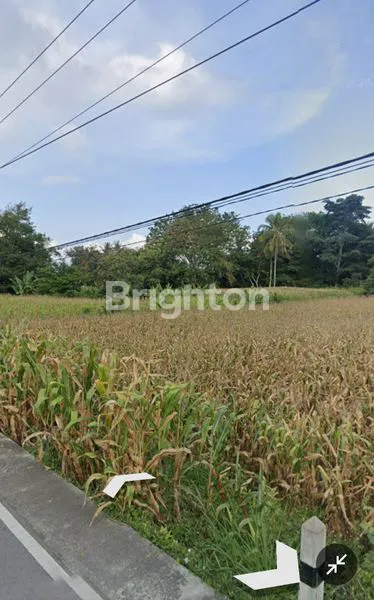 image \U2728 JUAL TANAH STRATEGIS DI SAMOSIR DEKAT PELABUHAN SIMANINDO (1)