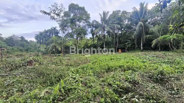 image TANAH LUAS DAN LOKASI SANGAT STRATEGIS (3)