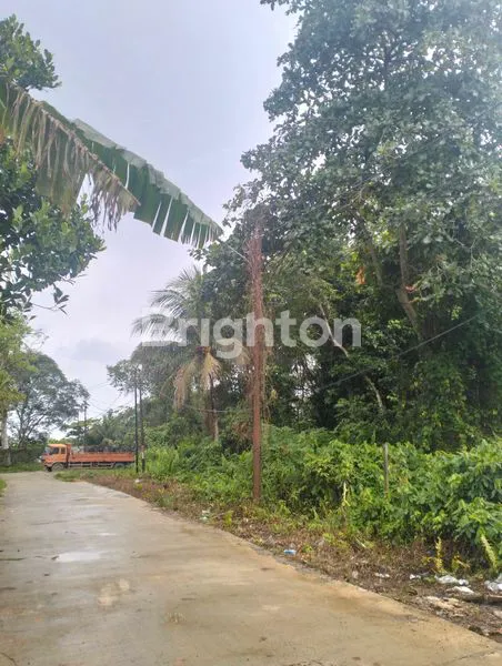 image TANAH LUAS DAN LOKASI SANGAT STRATEGIS (5)