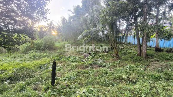 image TANAH LUAS DAN LOKASI SANGAT STRATEGIS (4)