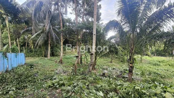 image TANAH LUAS DAN LOKASI SANGAT STRATEGIS (8)