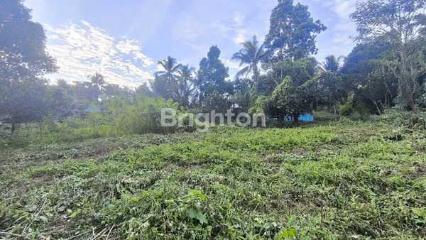 image TANAH LUAS DAN LOKASI SANGAT STRATEGIS (7)