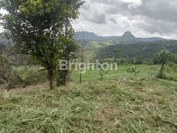 image TANAH LUAS 23.000M² SHM DI JONGGOL, LOKASI STRATEGIS (3)