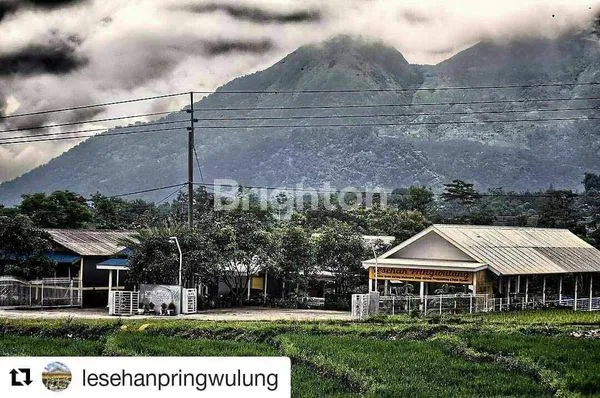 image BISNIS LENGKAP: VILLA, RESTO, KOLAM PANCING DI PACET (2)