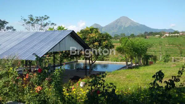image BISNIS LENGKAP: VILLA, RESTO, KOLAM PANCING DI PACET (6)
