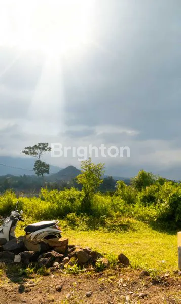 image KAVLING MURAH BU  (3)