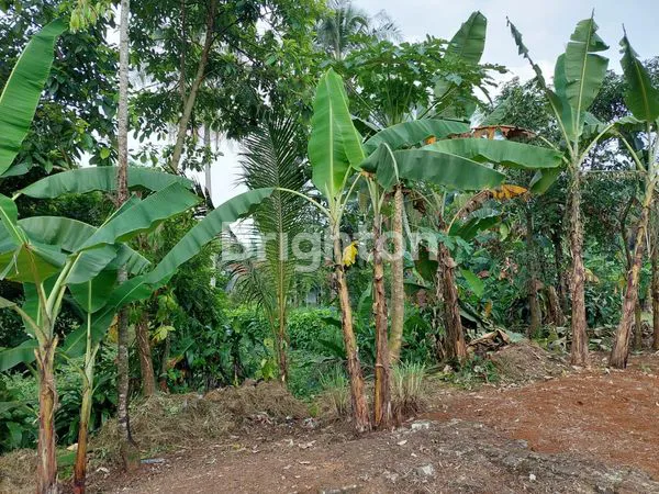 image RUMAH SCOND CISEENG (2)