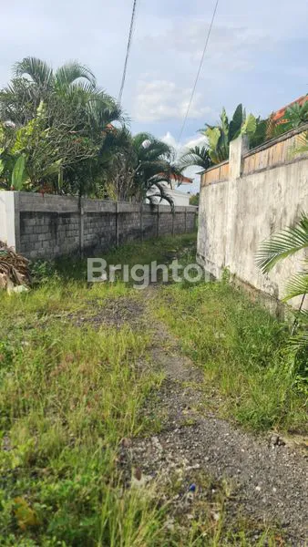 image DISEWAKAN TANAH + BANGUNAN – PADONAN, CANGGU\NLAND + BUILDING FOR LEASE – PADONAN, CANGGUW (3)