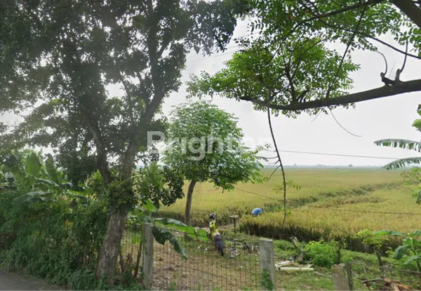 image TANAH LUAS 1,2 HEKTAR DI KARAWANG HARGA MIRING (1)