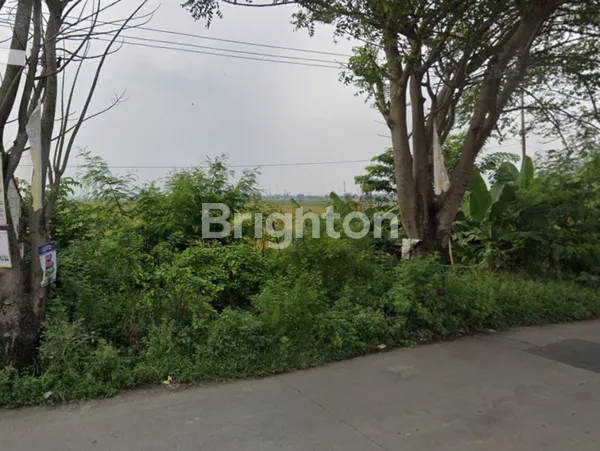 image TANAH LUAS 1,2 HEKTAR DI KARAWANG HARGA MIRING (2)