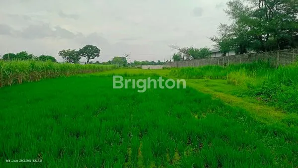 image LAHAN KOSONG INDUSTRIAL  (5)