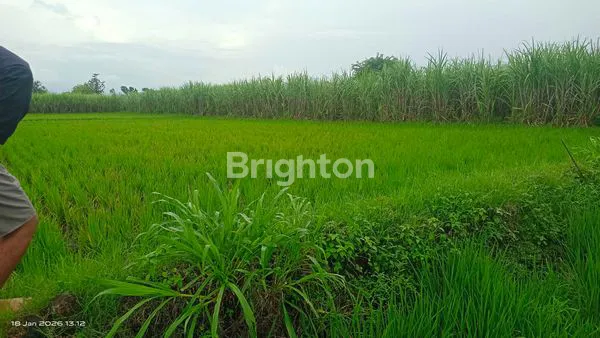 image LAHAN KOSONG INDUSTRIAL  (4)