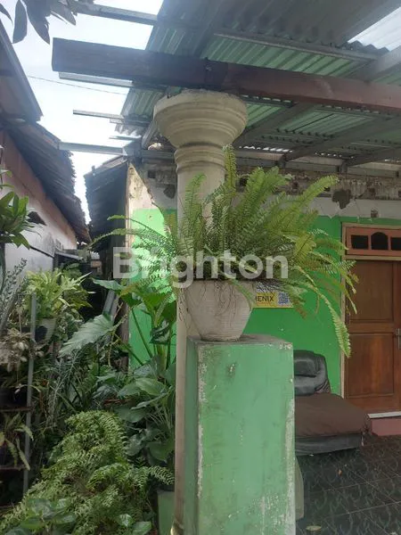 image TANAH DI NGRONGGO (2)