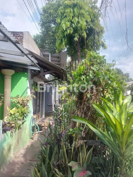 image TANAH DI NGRONGGO (3)