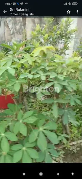 image TANAH KAVLING DI PERUM TNI SINAR BAKTI CIBARUSA (3)