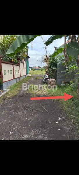 image TANAH MURAH SIAP BANGUN, 200M² DI BADUNG (1)