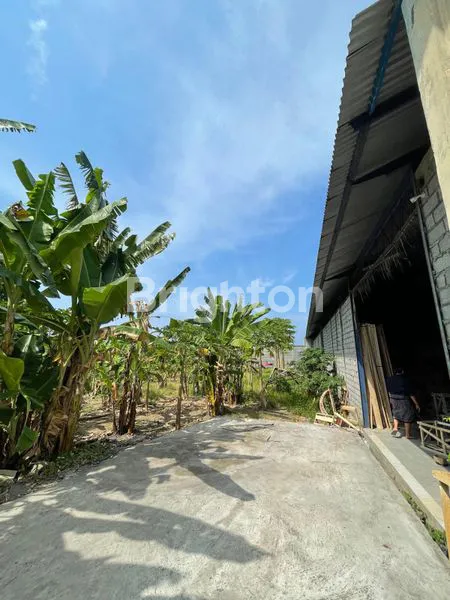 image DI JUAL / DI SEWAKAN 20 TH GUDANG 3400 M SIAP PAKAI DI BALI  (4)