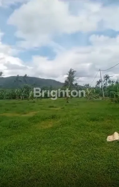 image CUAN MASA DEPAN! TANAH LUAS 1,2 HEKTAR LEBIH DI BALI UTARA HANYA 60 JUTA/ARE! (2)