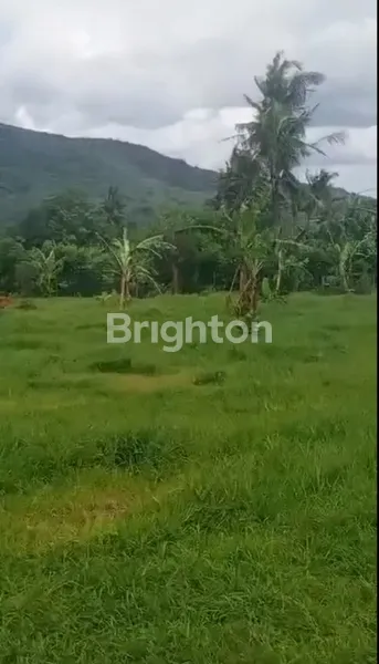 image CUAN MASA DEPAN! TANAH LUAS 1,2 HEKTAR LEBIH DI BALI UTARA HANYA 60 JUTA/ARE! (1)