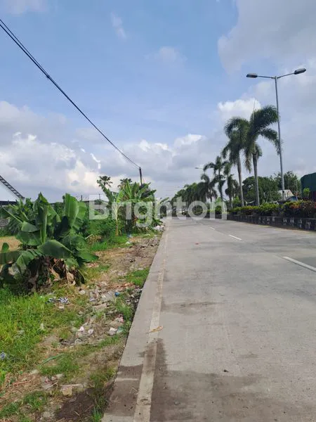 image TANAH KOMERSIL TERMINAL MENGWI BADUNG LUAS 52 ARE (2)