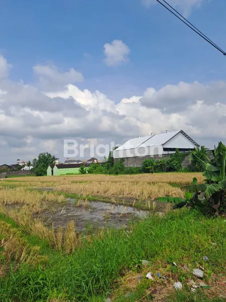 image TANAH KOMERSIL TERMINAL MENGWI BADUNG LUAS 52 ARE (5)