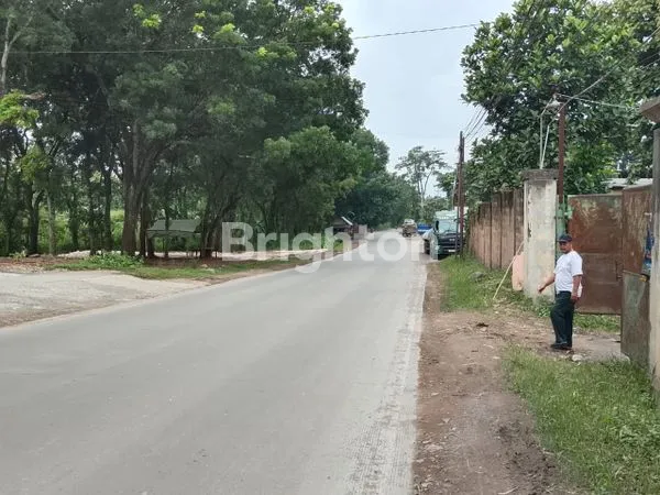 image TANAH BEKAS PABRIK PENGGILINGAN BATU, DI PAMOTAN, REMBANG (2)