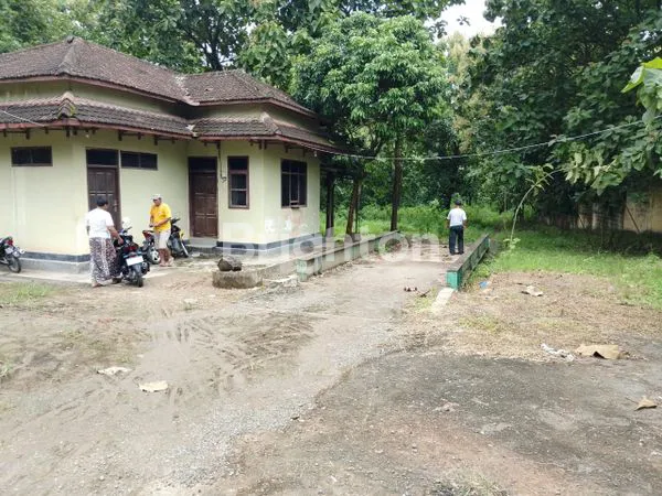 image TANAH BEKAS PABRIK PENGGILINGAN BATU, DI PAMOTAN, REMBANG (7)