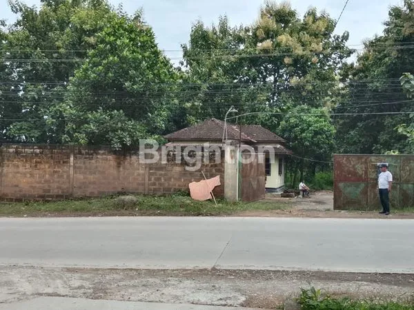 image TANAH BEKAS PABRIK PENGGILINGAN BATU, DI PAMOTAN, REMBANG (8)