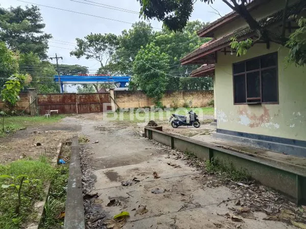 image TANAH BEKAS PABRIK PENGGILINGAN BATU, DI PAMOTAN, REMBANG (3)