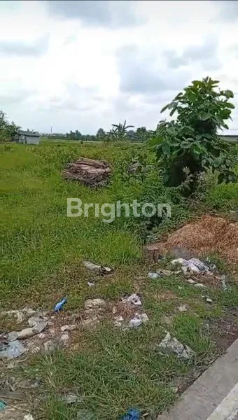 image DIJUAL TANAH KOMERSIAL ZONA MERAH BARAT TERMINAL MENGWI (3)