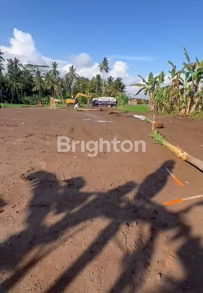 image INVESTASI LAHAN 42 ARE DI PEJENG – VIEW SAWAH ABADI & ZONA KUNING STRATEGIS (6)