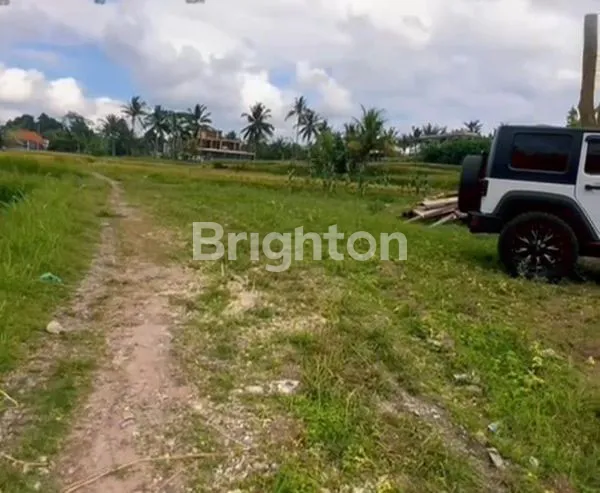 image INVESTASI LAHAN 42 ARE DI PEJENG – VIEW SAWAH ABADI & ZONA KUNING STRATEGIS (3)